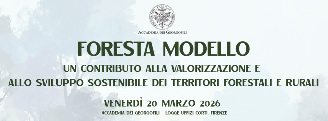Foresta modello. Un contributo alla valorizzazione e allo sviluppo sostenibile dei territori forestali e rurali